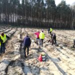 Posadźmy Razem Las! [Galeria] Radio Zachód - Lubuskie