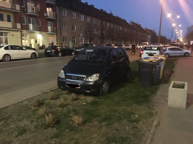 Parkowali na trawnikach za 150 tysięcy 9 fot:RG