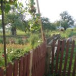 50-lecie WATRY- posłuchaj "Tryptyku Bukowińskiego", relacji i zobacz zdjęcia... 44 50-lecie WATRY- posłuchaj "Tryptyku Bukowińskiego", relacji i zobacz zdjęcia... Radio Zachód - Lubuskie