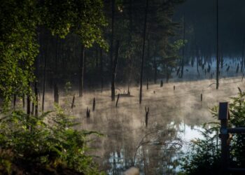 UM Łęknica