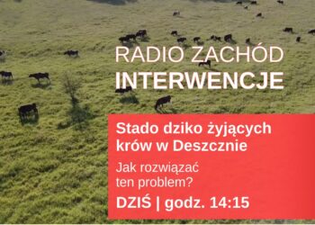 Radio Zachód Interwencje