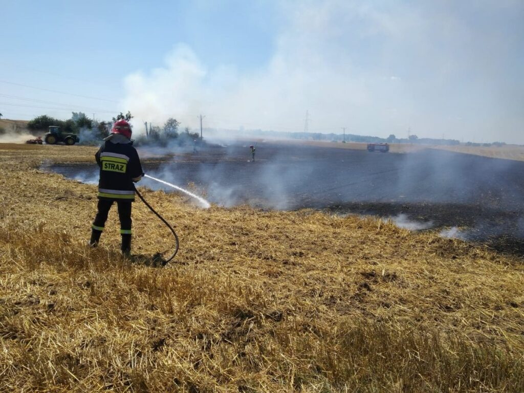 Rolnicy walczyli z ogniem Radio Zachód - Lubuskie