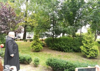 fot. Bartosz Schaefer