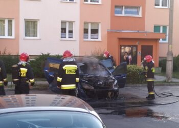 autor: Piotr Wiśniewski