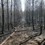 Wojskowe Targi Służby i Pracy na UZ Radio Zachód - Lubuskie