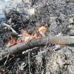 Wojskowe Targi Służby i Pracy na UZ Radio Zachód - Lubuskie