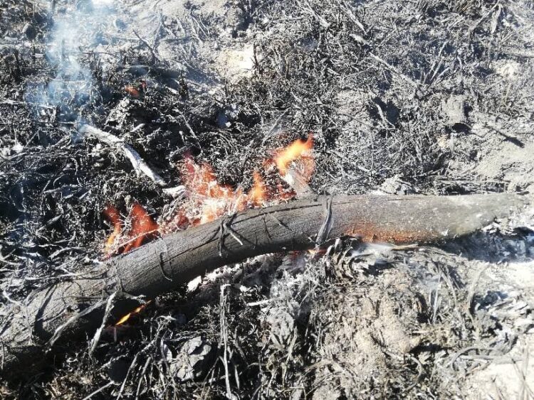 fot. PSP Zielona Góra