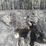 Wojskowe Targi Służby i Pracy na UZ Radio Zachód - Lubuskie