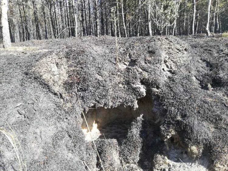 fot. PSP Zielona Góra