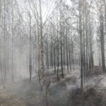 Wojskowe Targi Służby i Pracy na UZ Radio Zachód - Lubuskie