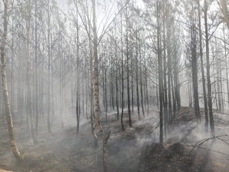 fot. PSP Zielona Góra