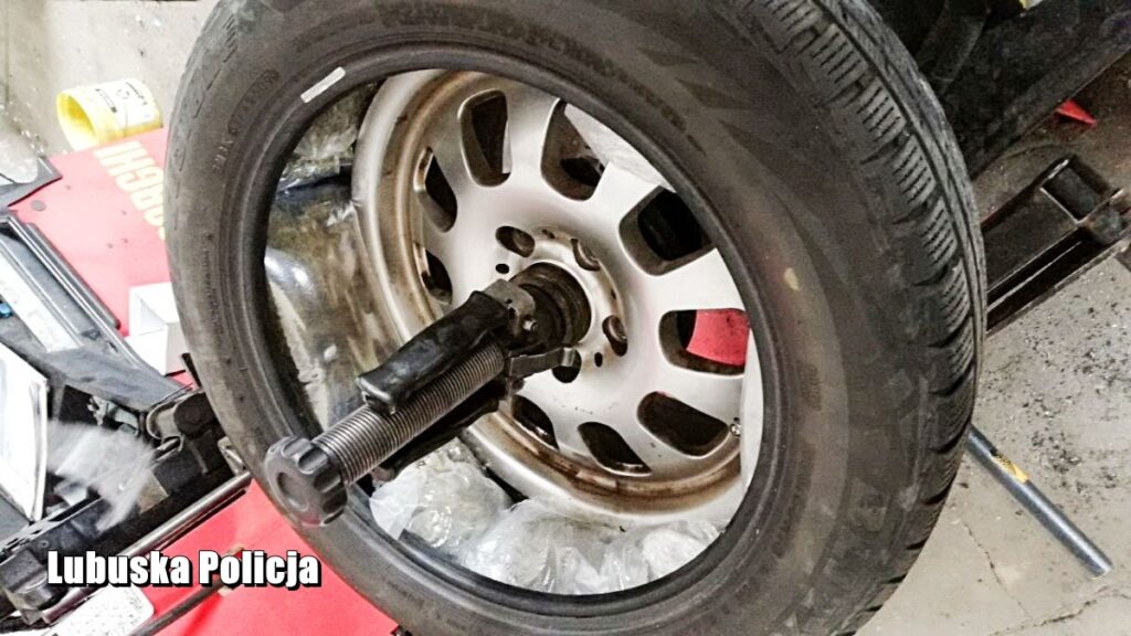 Wojskowe Targi Służby i Pracy na UZ Radio Zachód - Lubuskie