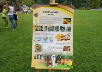 Fot. Zofia Popielecka