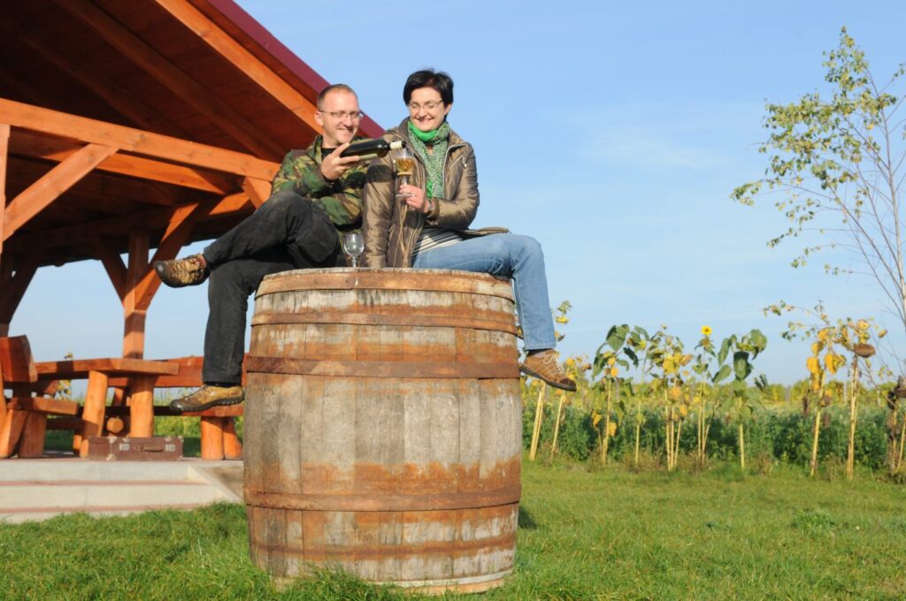 „Wino rodzi się w winnicy”-reportaż Cezarego Galka. Radio Zachód - Lubuskie