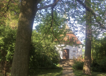 fot. Janusz Życzkowski