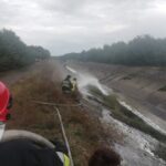 Strażacy i animalsi walczyli o uratowanie łosia Radio Zachód - Lubuskie