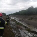 Strażacy i animalsi walczyli o uratowanie łosia Radio Zachód - Lubuskie