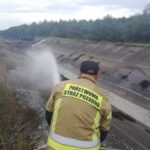 Strażacy i animalsi walczyli o uratowanie łosia Radio Zachód - Lubuskie