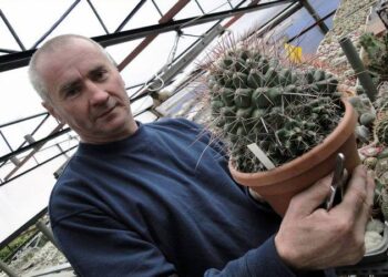 facebook Z. Kondratowicza