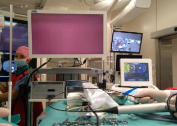 Fot. Zofia Popielecka