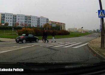 Fot. Lubuska Policja