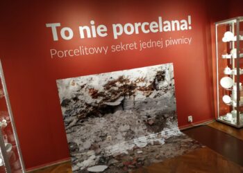 autor: Piotr Wiśniewski