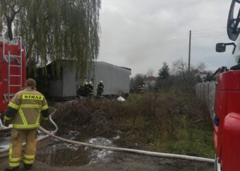 fot. Bartosz Schaefer