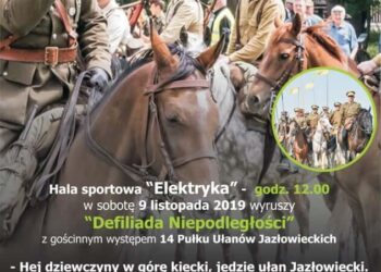 Plakat - Nasza Polska 2015.