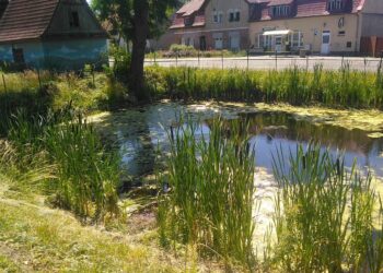 fot. archiwum prywatne