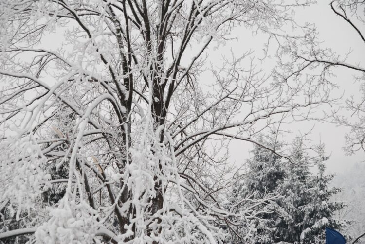 Fot. Urząd Miasta w Szczyrku
