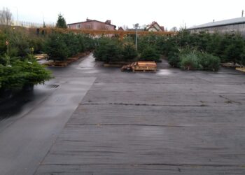 Fot. Marek Turowski.