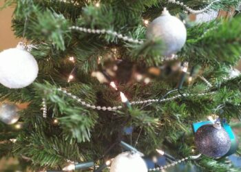 autor: Piotr Wiśniewski