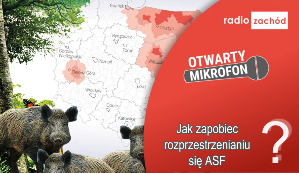 Jak zapobiec rozprzestrzenianiu się ASF w Polsce? Radio Zachód - Lubuskie