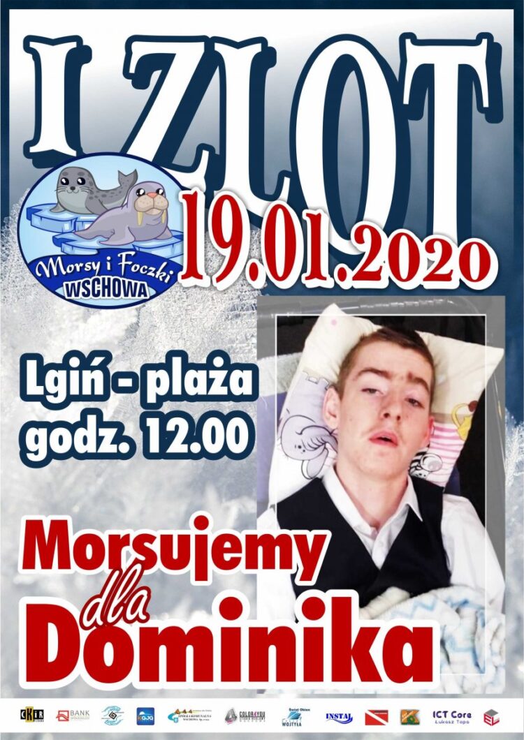 Plakat - Klub Morsy i foczki.
