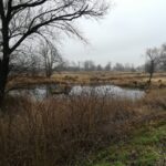 Piknik Fortyfikacyjny [GALERIA] Radio Zachód - Lubuskie