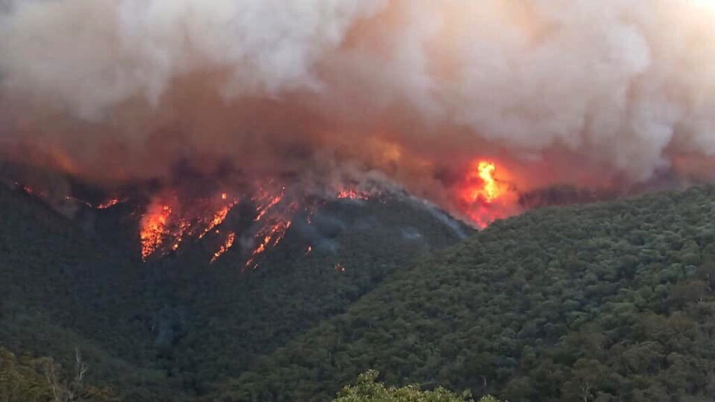 Pożary w Australii rozszerzają się. Władze apelują o ewakuację Radio Zachód - Lubuskie
