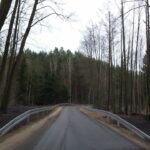 Lasy Państwowe razem ze Starostwem zbudowały drogę Radio Zachód - Lubuskie