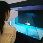 Dzień Dinozaura Radio Zachód - Lubuskie