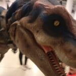 Dzień Dinozaura Radio Zachód - Lubuskie