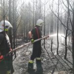 II stopień zagrożenia w lasach Radio Zachód - Lubuskie