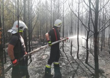 fot. PSP Zielona Góra