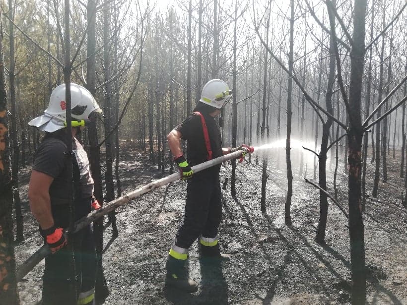 II i III stopień zagrożenia pożarowego w lubuskich lasach Radio Zachód - Lubuskie
