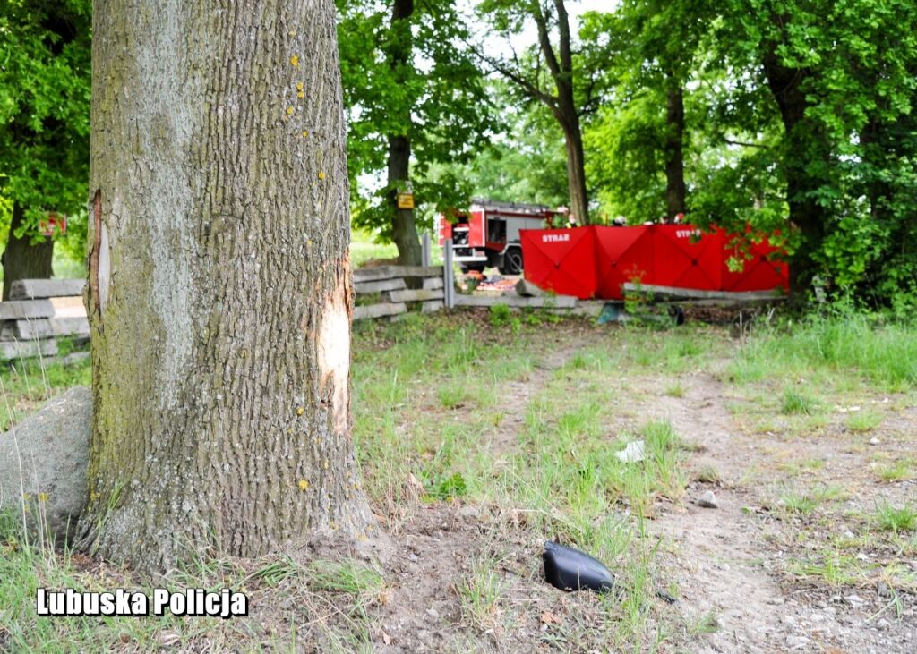 Ofiary wypadku koło Górzycy to nastolatkowie. 16-letni kierowca bez prawa jazdy Radio Zachód - Lubuskie