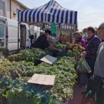 Tłumy na giełdzie Radio Zachód - Lubuskie