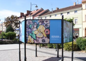 Fot. MM - Nowa Sól.