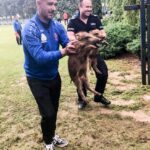 Dziki i bocian uratowane z opresji! Dwie nietypowe interwencje w Świebodzinie Radio Zachód - Lubuskie