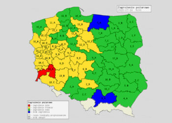 Grafika: Instytut Badawczy Leśnictwa