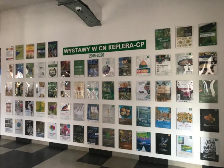 fot. Bartłomiej Walkowski