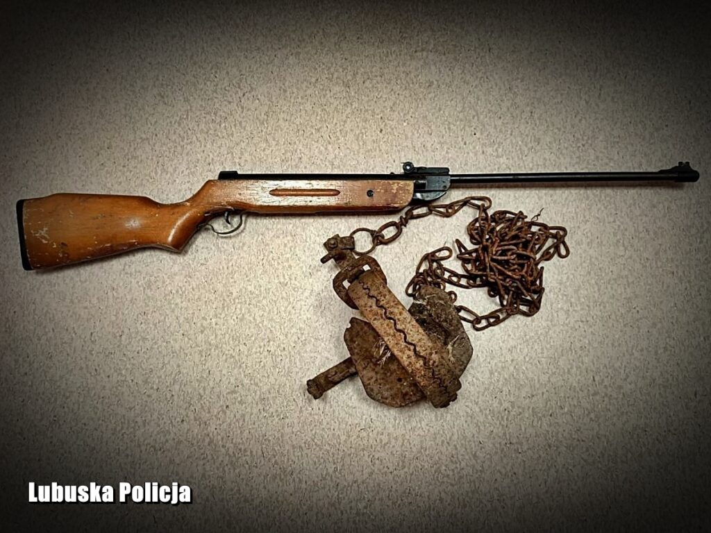 Kłusował i strzelał do psa Radio Zachód - Lubuskie