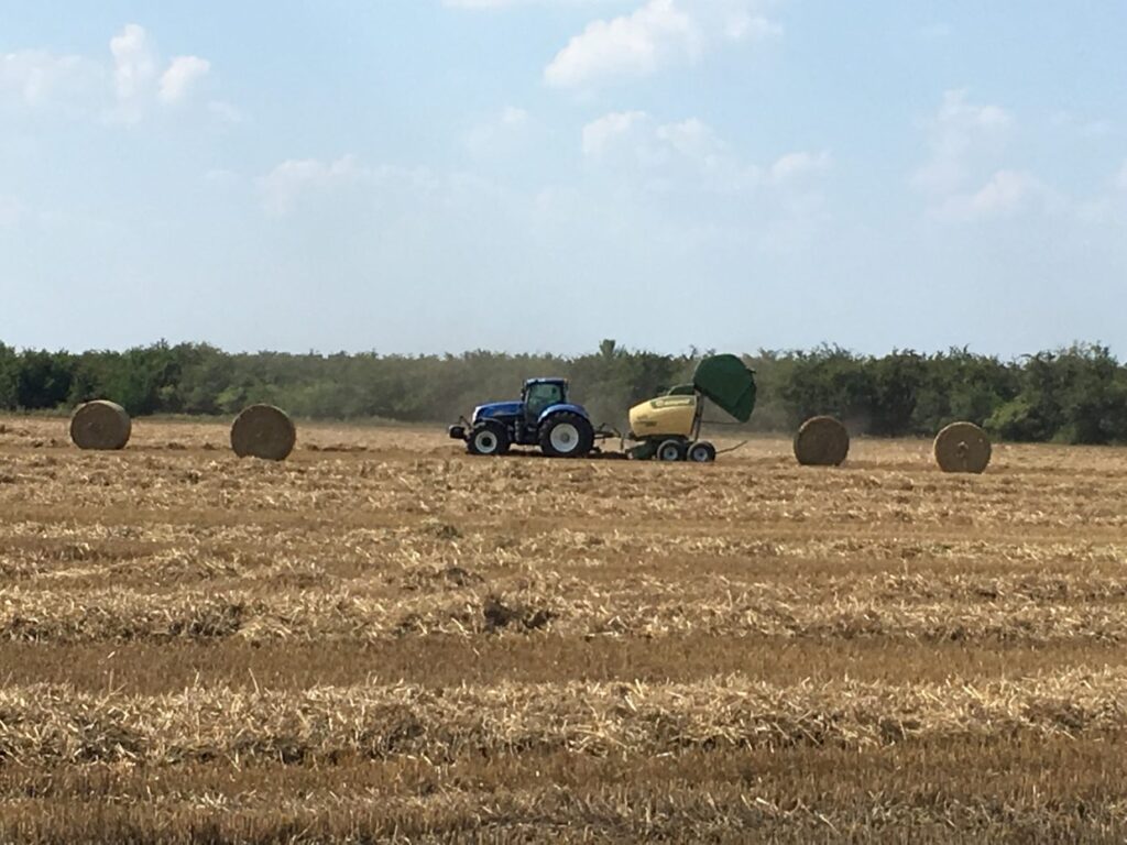 Wysokie plony zbóż w HZZ Osowa Sień Radio Zachód - Lubuskie